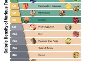 Calorie Density of Various Food Groups