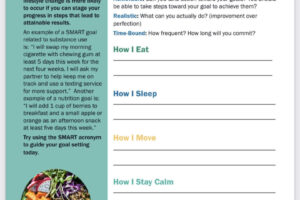 Set Healthy Goals - Lifestyle Medicine Action Plan