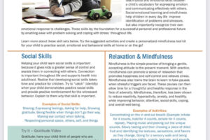 Social Emotional Learning & Mindfulness For Kids