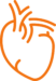 Heart, Circulation & Blood