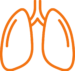 Lungs & Breathing