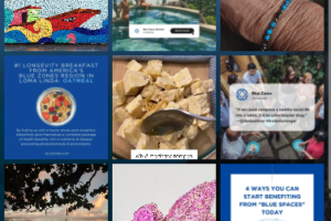 What we can learn from Blue Zones