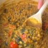 Spinach tomato dal